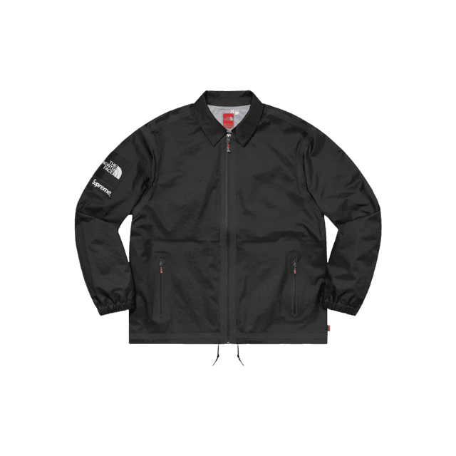 Giacca Coach Supreme x The North Face