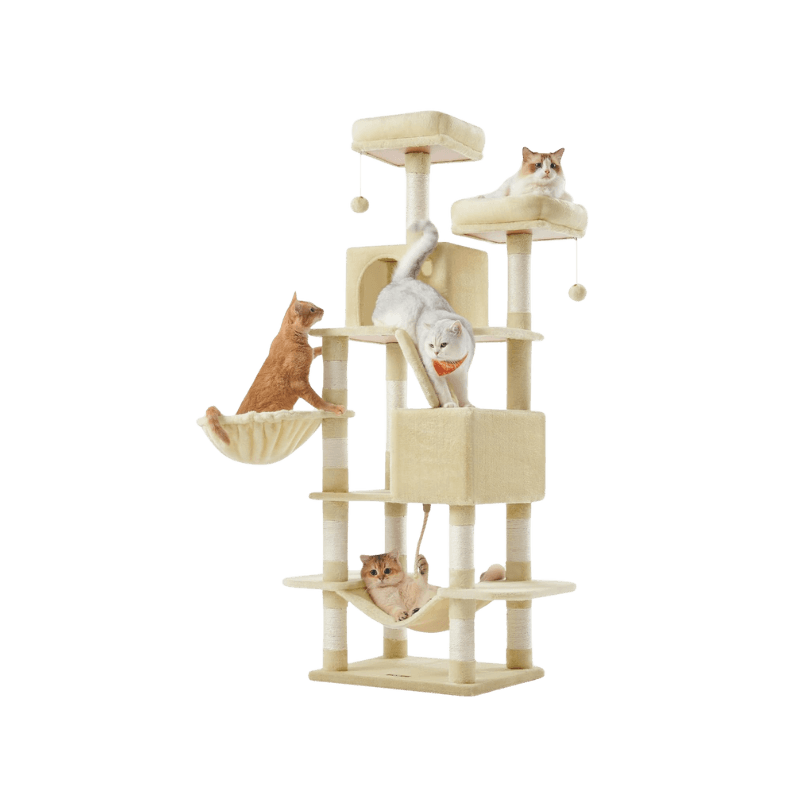 Tiragraffi per Gatti da 168cm