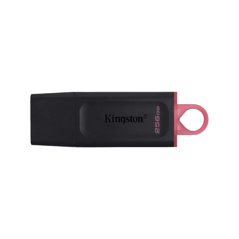 Kingston Chiavetta USB da 256GB