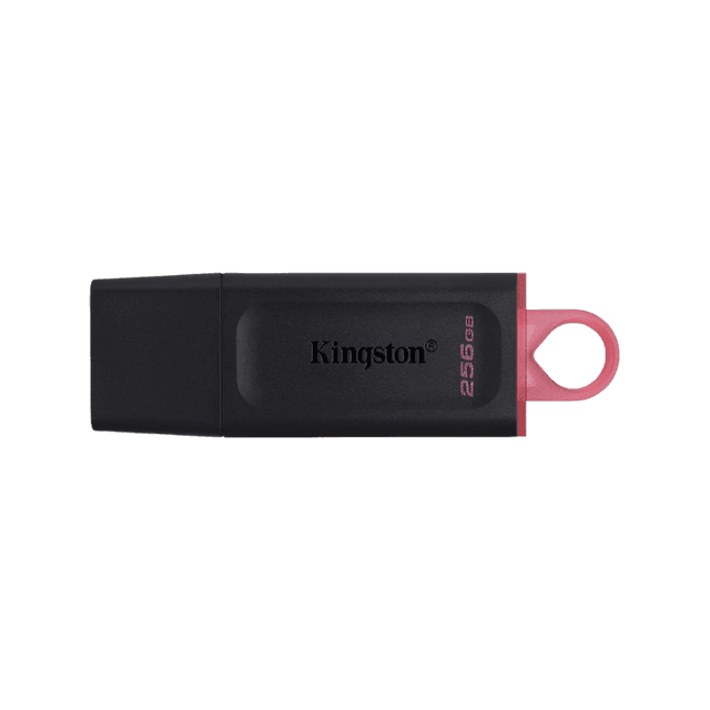 Kingston Chiavetta USB da 256GB