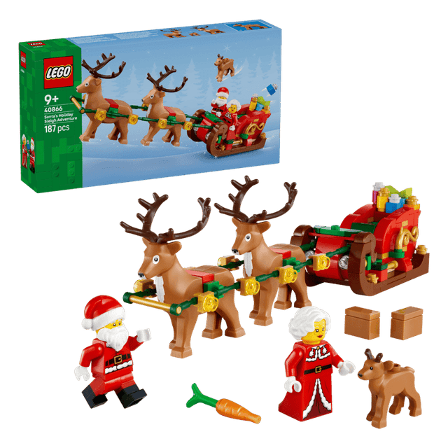 Avventura sulla slitta di Babbo Natale (LEGO 40866)
