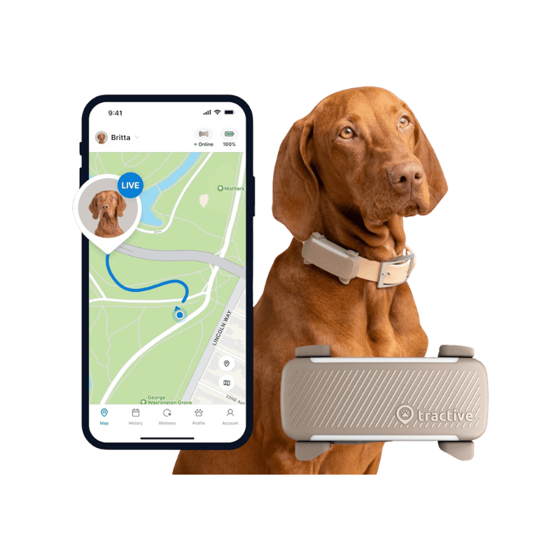 Tractive GPS per Cani conLocalizzazione in Tempo Reale