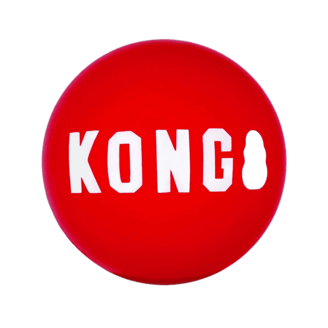 KONG Signature Ball 1 pezzo