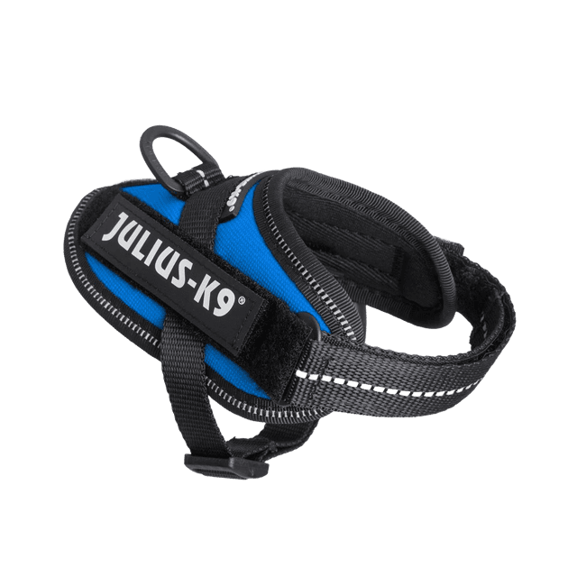 Pettorina Julius-K9 IDC Powerharness Blu
