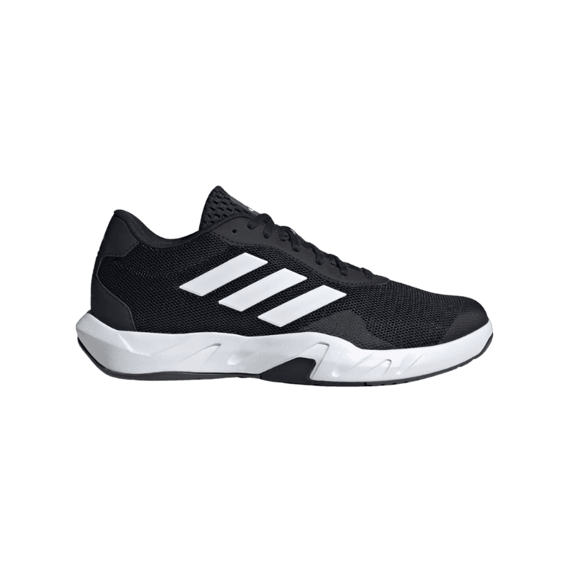 Amplimove Trainer