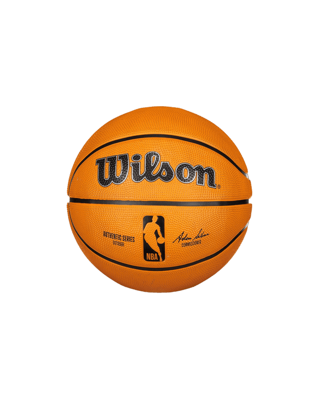 Wilson Pallone Basket NBA Authentic